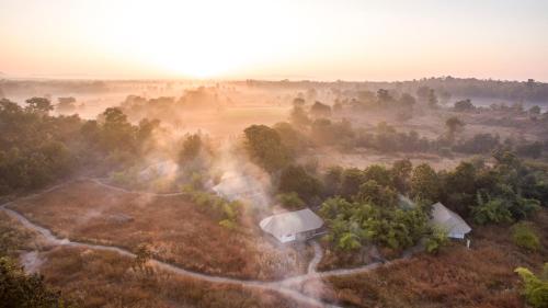 Jamtara Wilderness Camp - Pench National Park