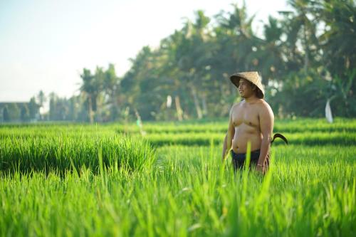 Asri Sari Villa Ubud