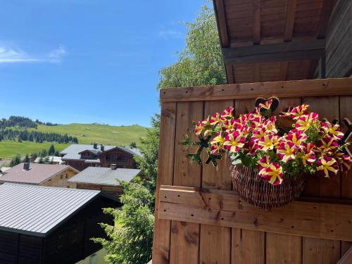 APPARTEMENT VUE SUR LES PISTES Aux SAISIES 4 4