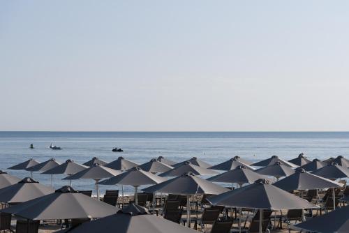 Bio Suites Hotel - image 13