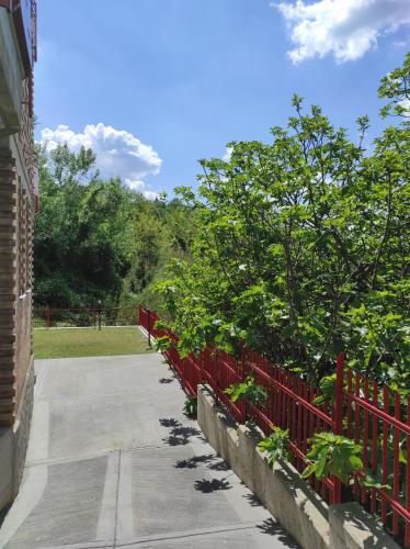 Oasi del Monferrato - appartamento verde in Mombercelli