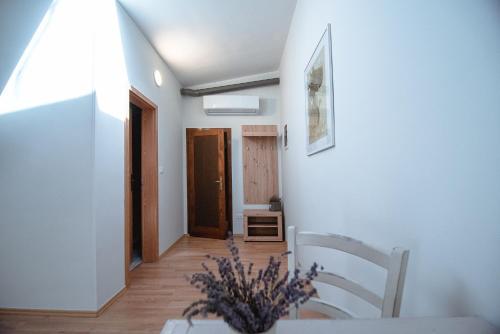 Apartment Ana - Karst Cycling Paradise in Dutovlje