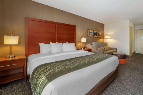 Comfort Inn Humboldt Bay - Eureka - image 12