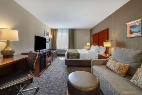 Comfort Inn Humboldt Bay - Eureka - image 10