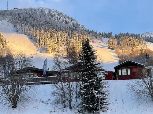 Åre Travel - Center