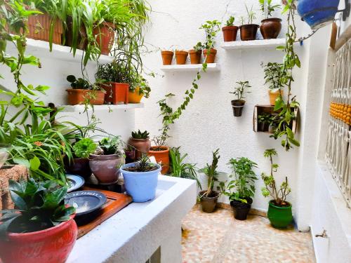 DAR AYOUB - Entire House Near PALAIS MARCHAN - Updated 2024 DAR AYOUB - Entire House Near PALAIS MARCHAN - Updated 2024