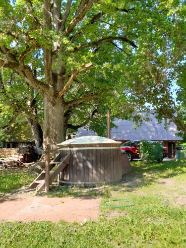 Annimatsi Camping - image 13
