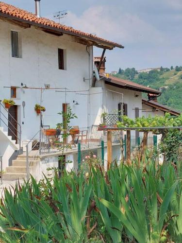 Casa di campagna Il melo tra vigne e noccioli.