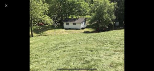 Cute Little Cabin (Near the Nantahala River)