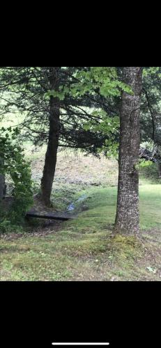 Cute Little Cabin Near the Nantahala River in Topton, USA
