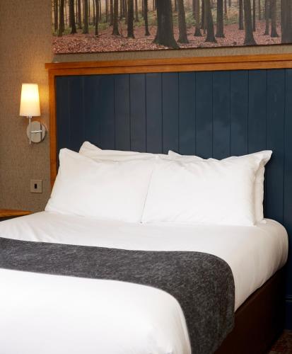 White Rabbit by Chef & Brewer Collection Room Type - Superior Double Room