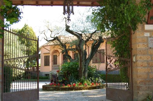 Casa Grion - image 7