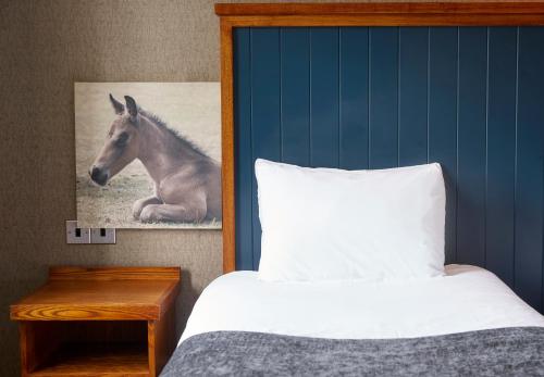 White Rabbit Hotel by Greene King Inns - image 5