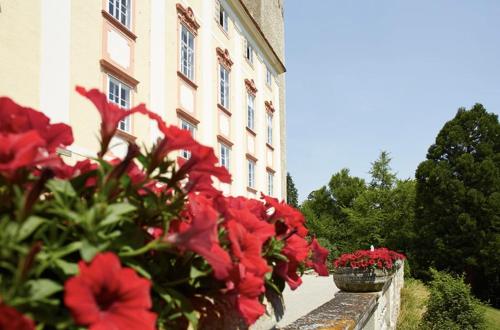 المنظر الخارجي, Exklusive Suiten im Schloss Horn in هولي ول