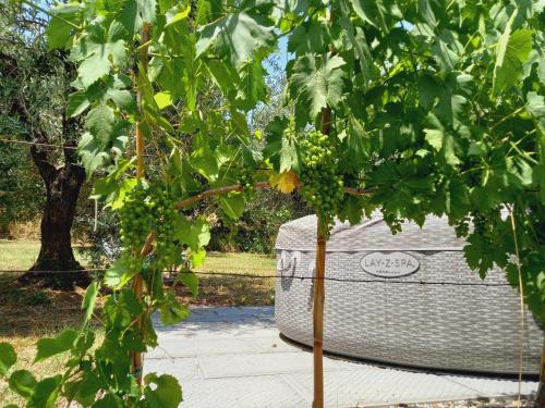  Agriturismo Fonteregia in Montecatini Terme