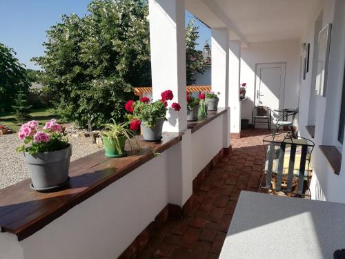Casa Ago - Guest House - image 12