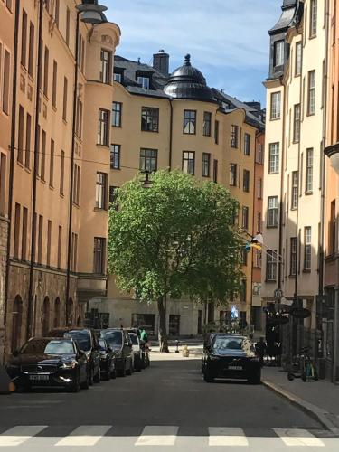 インターホステル