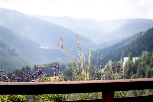 Bergblick Ruhe und Aussicht auf 1100m