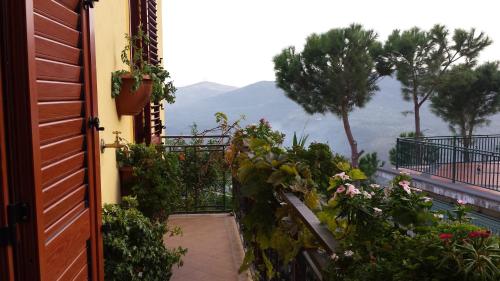 B&B Lo Sparviero in Civita