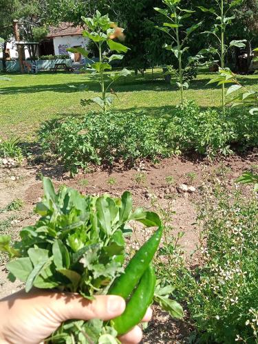 Salda Gölü Koca Kapı Konaklama