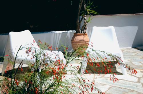Villa Anna - image 7
