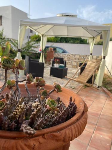  Case Vacanze Mio Sogno in Favignana