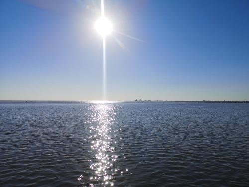 สภาพแวดล้อมโดยรอบ, *lütt* Ferienwohnungen lütt & groot (*lutt* Ferienwohnungen lutt & groot) in เมลดอร์ฟ