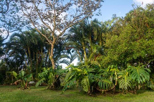 Vista Lago Arenal