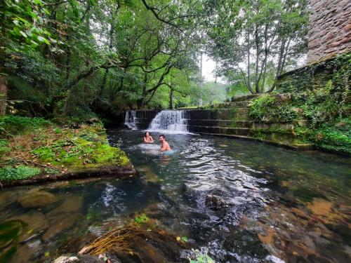 Kert, Posada Pet Friendly El Molino de Cantabria in Hoznayo