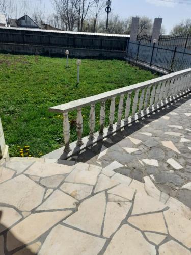 Casa Manu in Răucești
