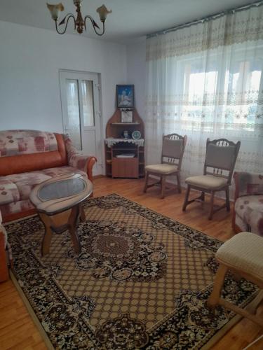 Casa Manu in Răucești