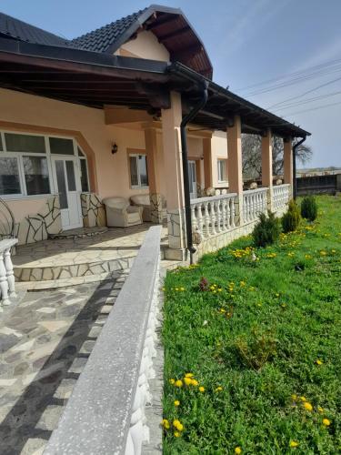 Casa Manu in Răucești