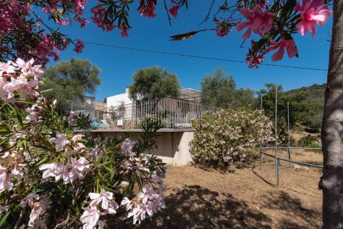 La Maison des Oliviers - Belle maison familiale avec Piscine