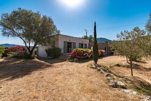 La Maison des Oliviers - Belle maison familiale avec Piscine