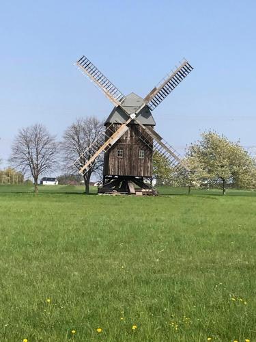 Ferienwohnung Morgensonne am Kurpark