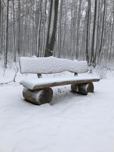 周邊環境, Ferienwohnung Morgensonne am Kurpark Bad Berka # Parkplatz # Spielplatz # WLAN # 2 Schlafzimmer (Ferienwohnung Morgensonne am Kurpark Bad Berka # gratis Parkplatz # ebenerdig # Spielplatz # WLAN # ) in 巴特貝爾卡