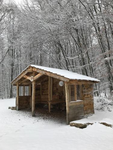 周邊環境, Ferienwohnung Morgensonne am Kurpark Bad Berka # Parkplatz # Spielplatz # WLAN # 2 Schlafzimmer (Ferienwohnung Morgensonne am Kurpark Bad Berka # gratis Parkplatz # ebenerdig # Spielplatz # WLAN # ) in 巴特貝爾卡