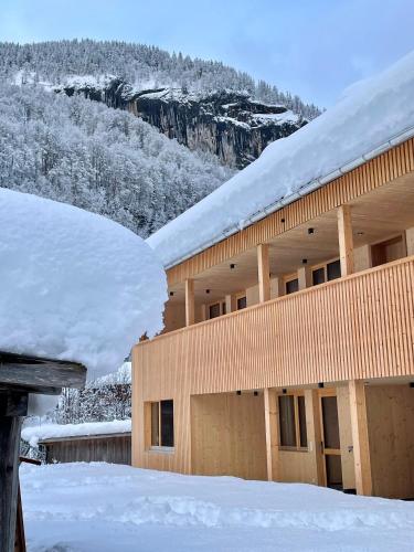 Wasserfall Apartment Waldblick Mellau