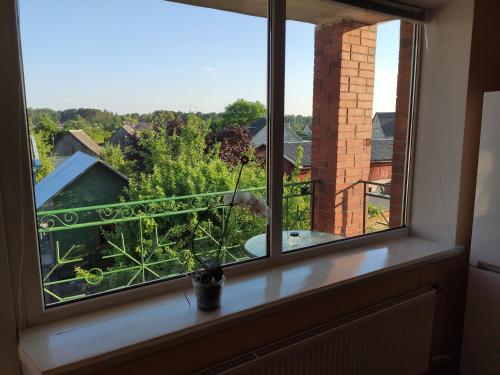 Spacious & Cozy Apartment with Forest View, Zapyškis (foto 7)