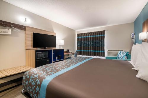 1 queen bed, 1 sofa bed