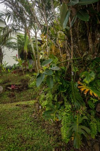 Vista Lago Arenal