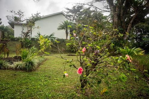 Vista Lago Arenal