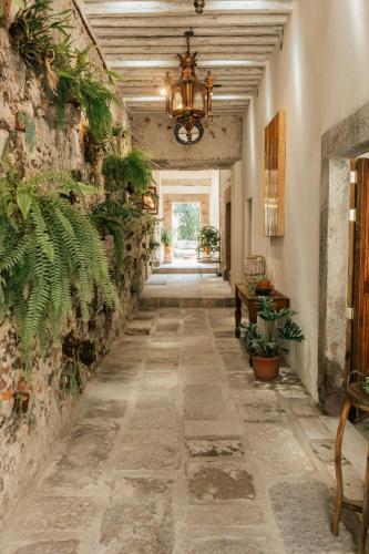 372439993 Orchid House San Miguel de Allende