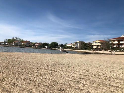 Apartment Near The Beach