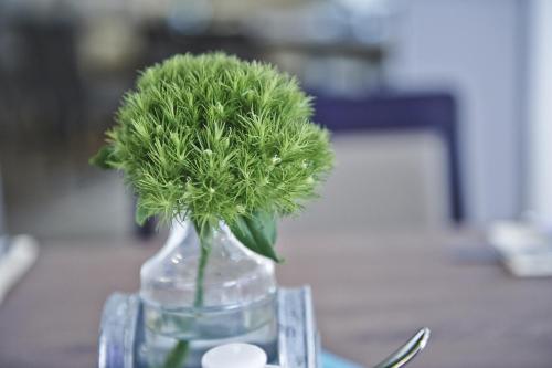 Hotel Elch Boutique - main image