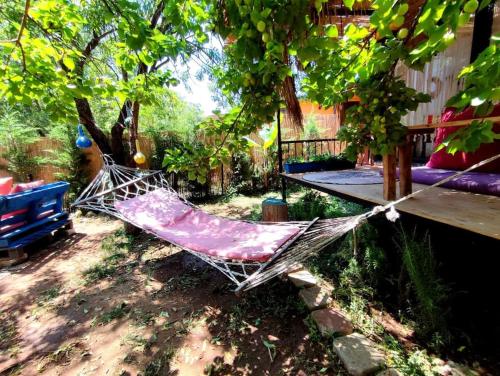 !!Tiny House İncir!! Kayaköy Jungle Camping