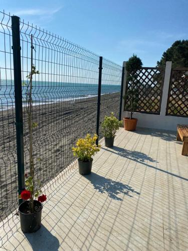 Claude Monet Seaside Hotel