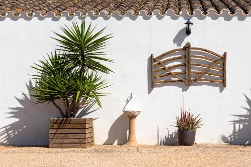 Agroturismo Son Juaneda - image 10