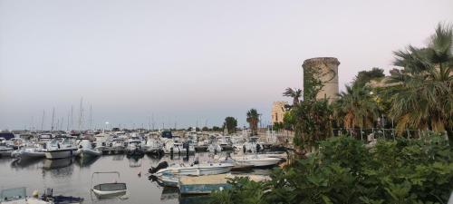Kilátás, AMUNI' Apartments in Trabia
