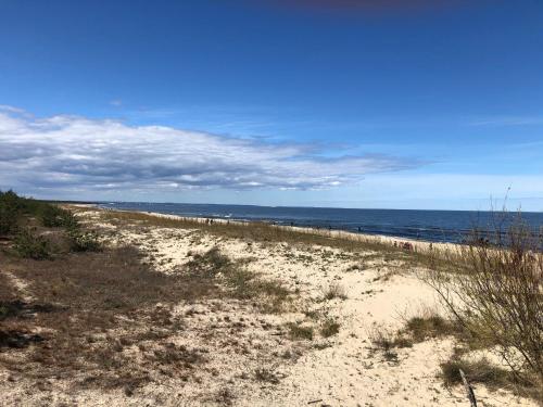 Apartament Olszynka in Ilha de Sobieszewo